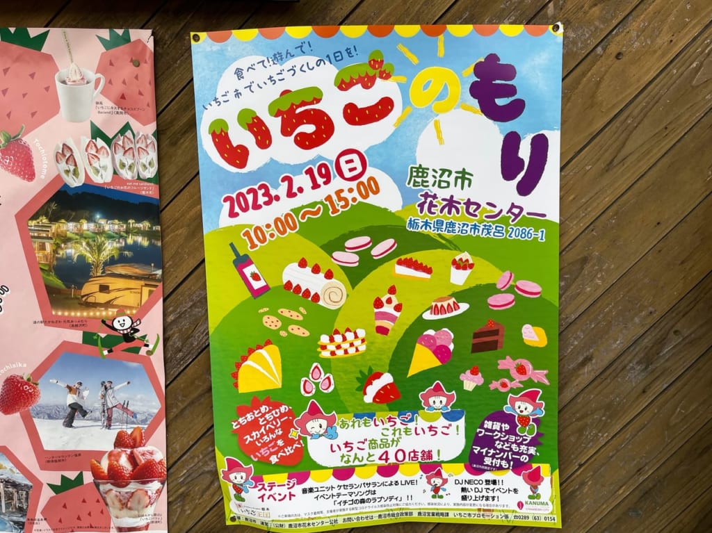 鹿沼市花木センターいちごのもりポスター