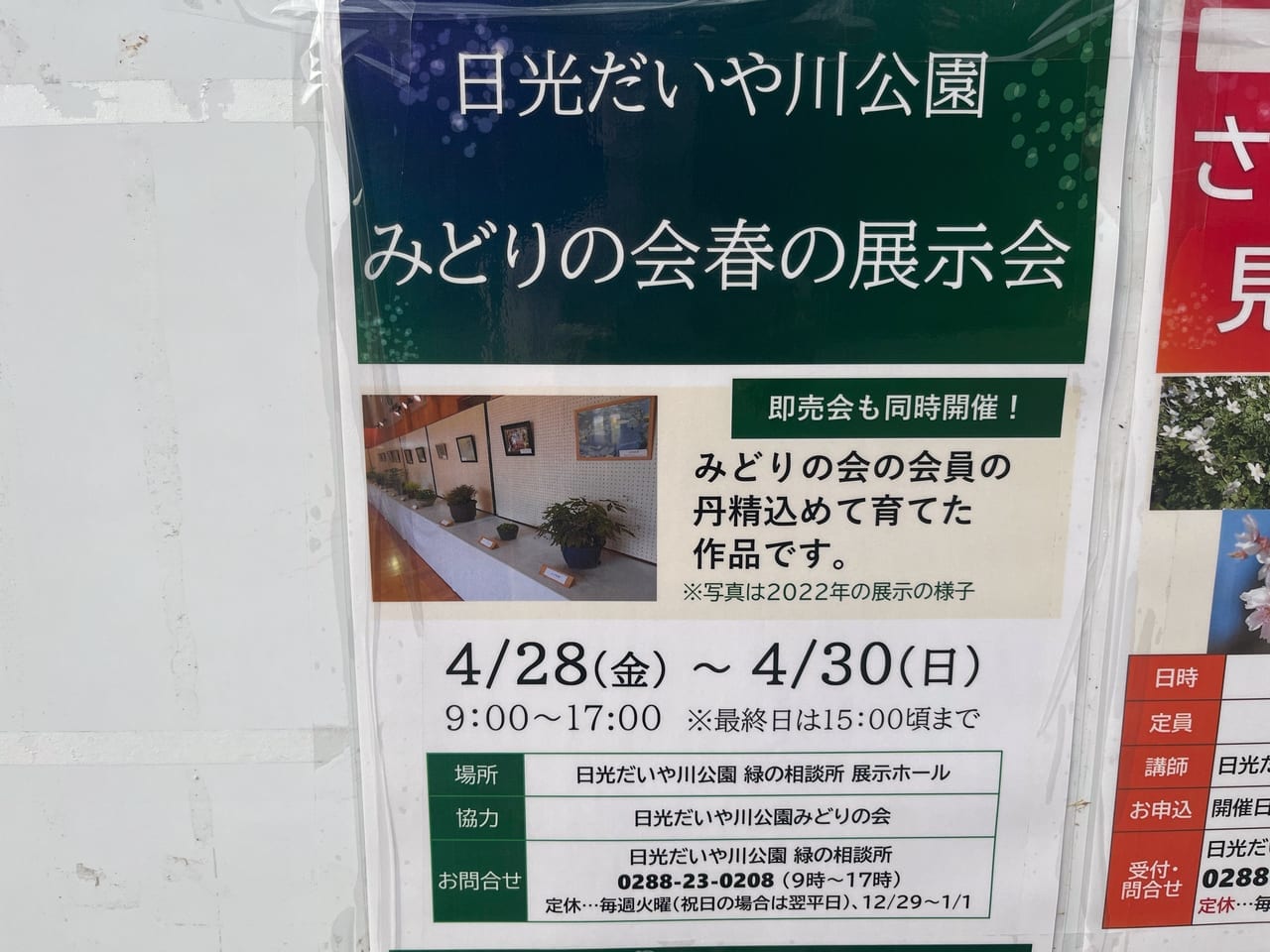 日光だいや川公園みどりの会春の展示会