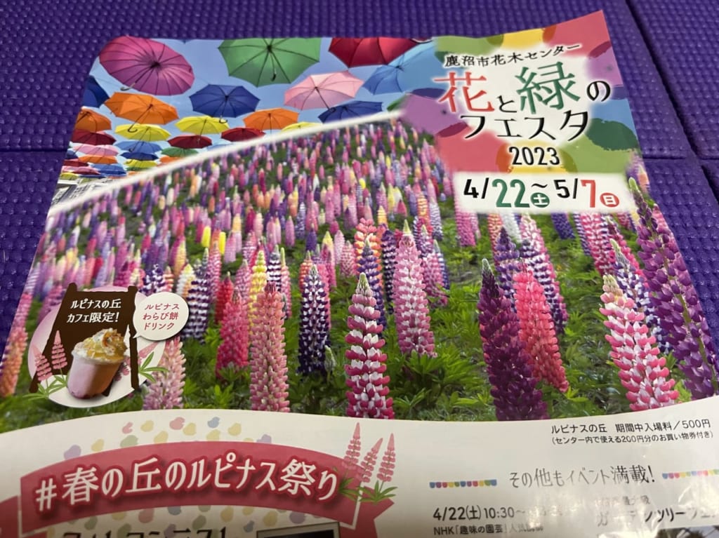 花と緑のフェスタ2023チラシ春の丘のルピナス祭り