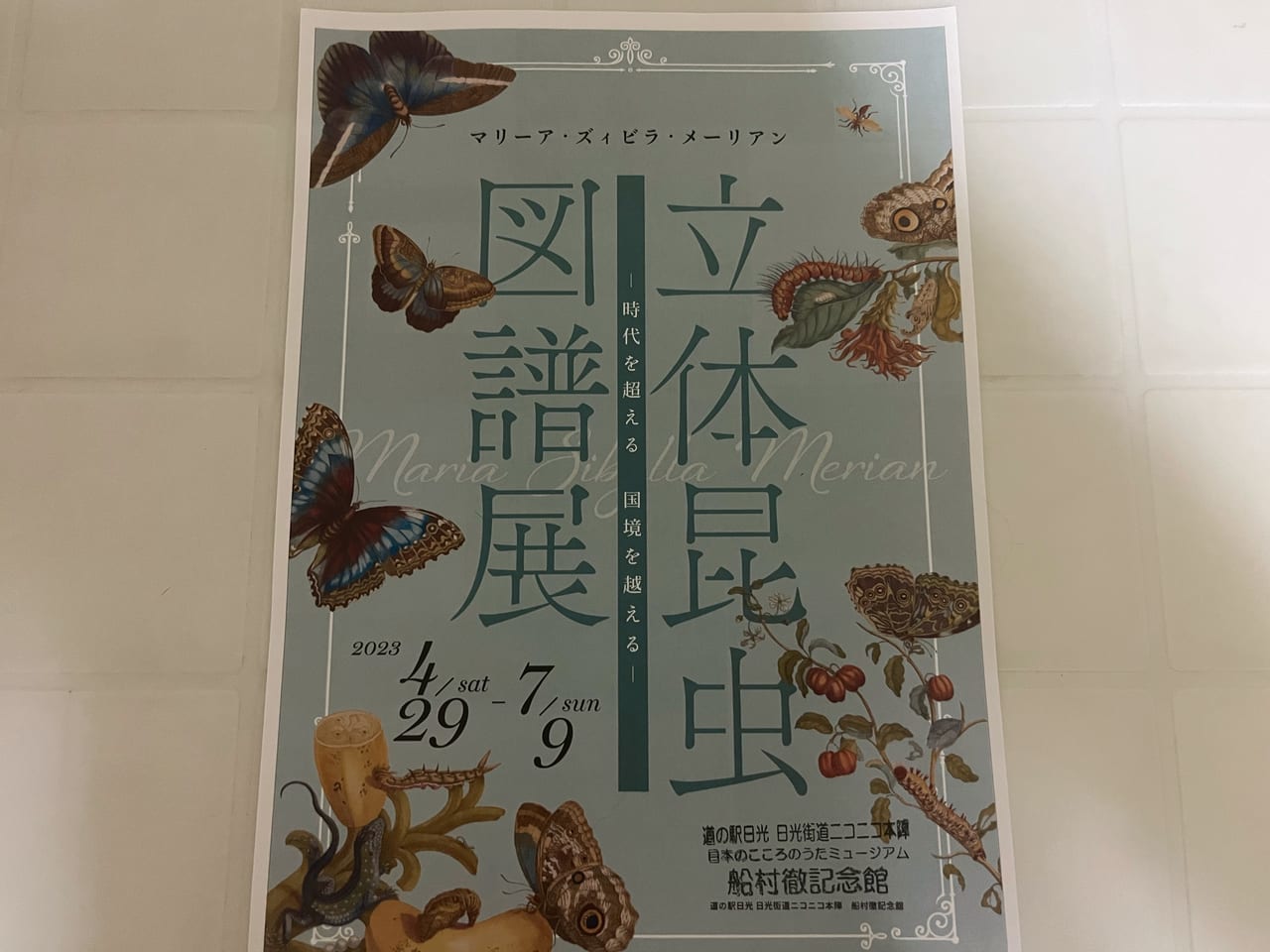 立体昆虫図譜展