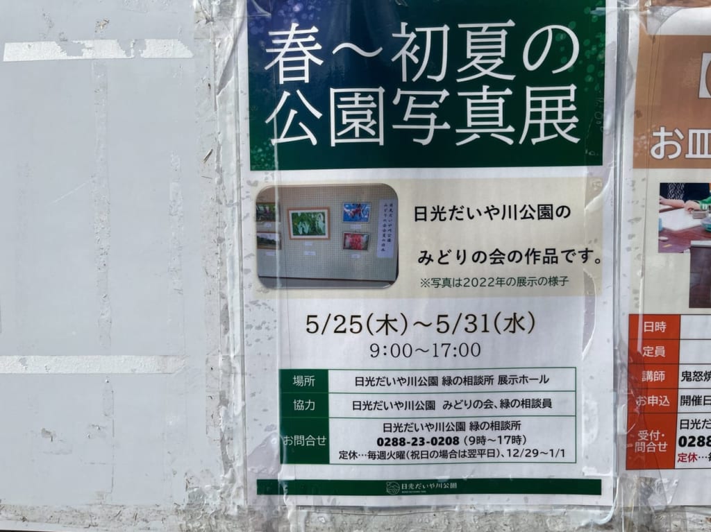 春初夏の公園写真展
