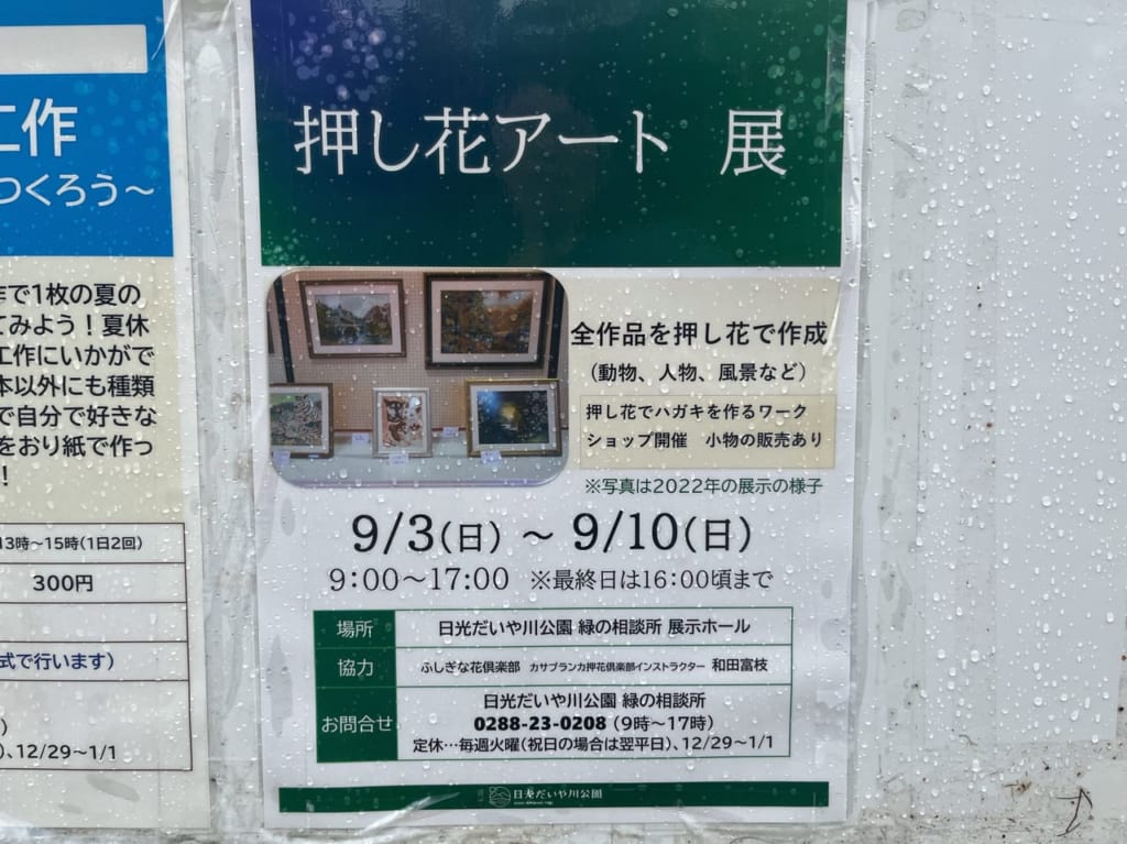 押し花アート展