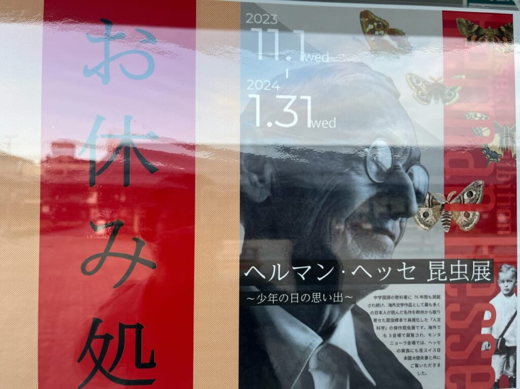 ヘルマンヘッセ昆虫展お休み処