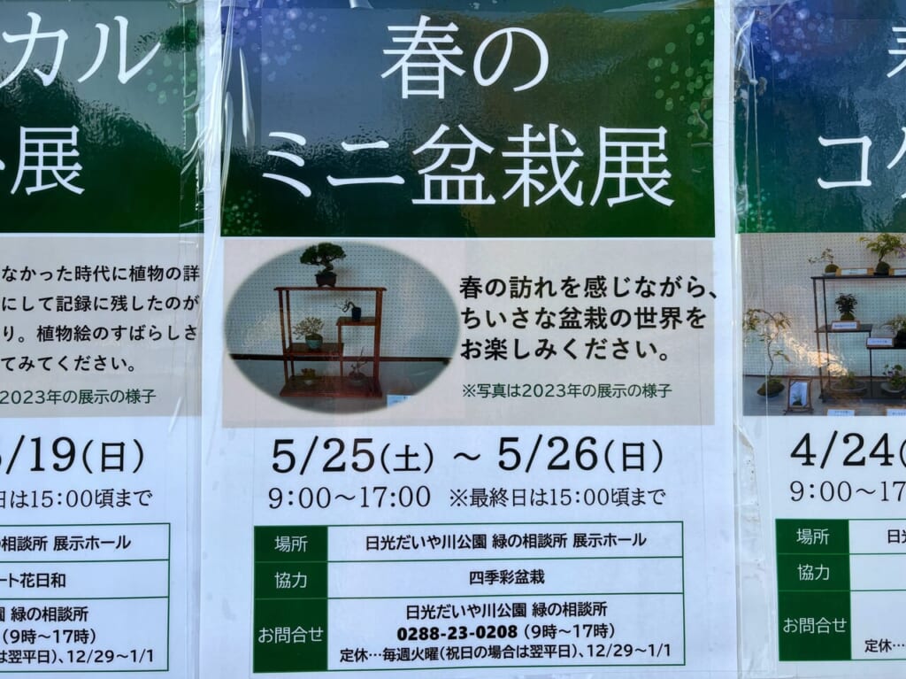 春のミニ盆栽展