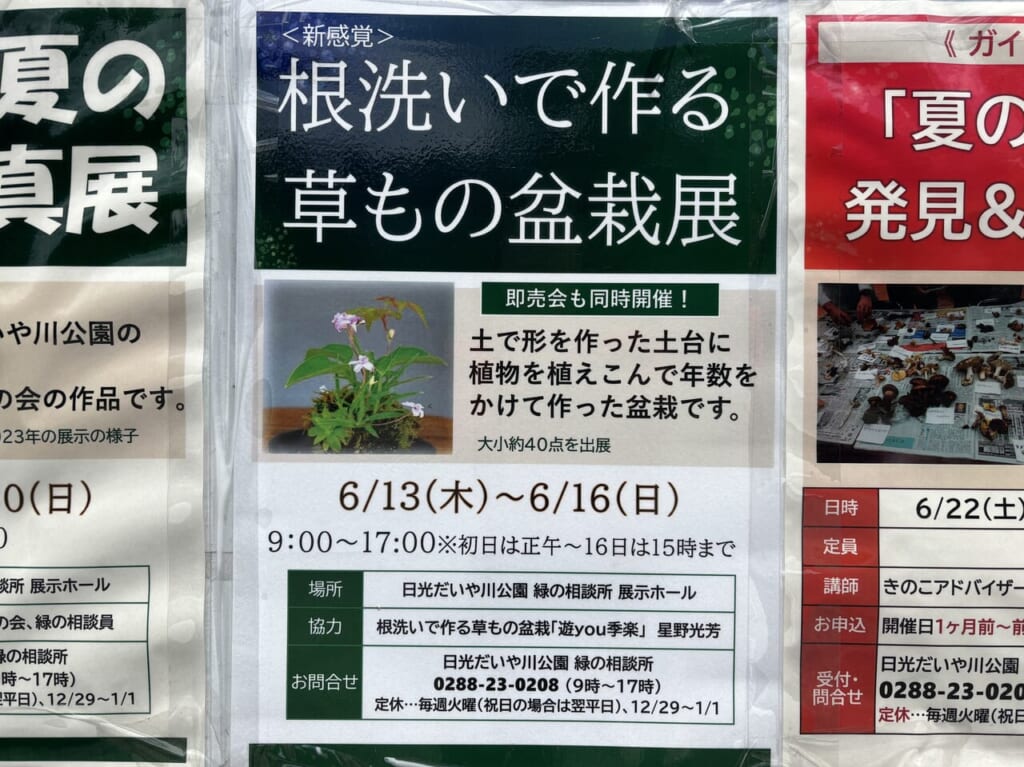 根洗いで作る草もの盆栽展