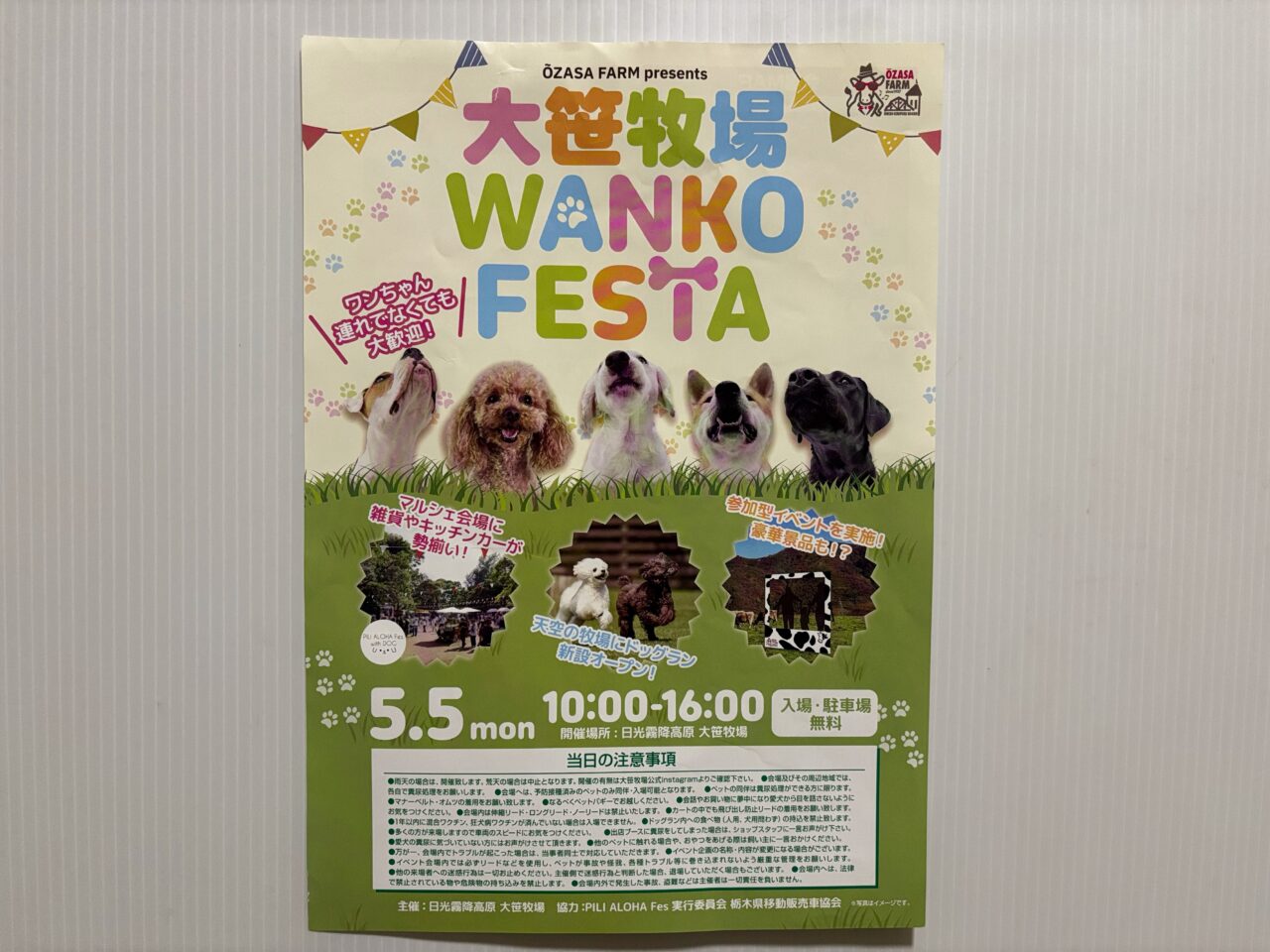 大笹牧場　WANKO FESTAチラシ