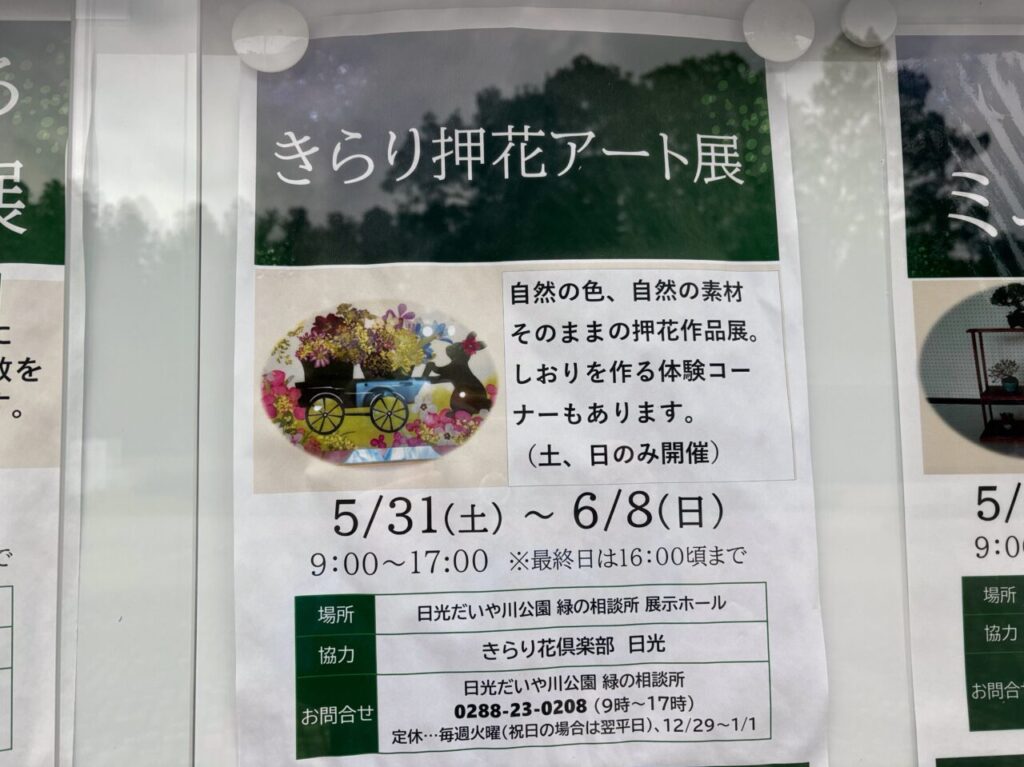 きらり押し花アート展