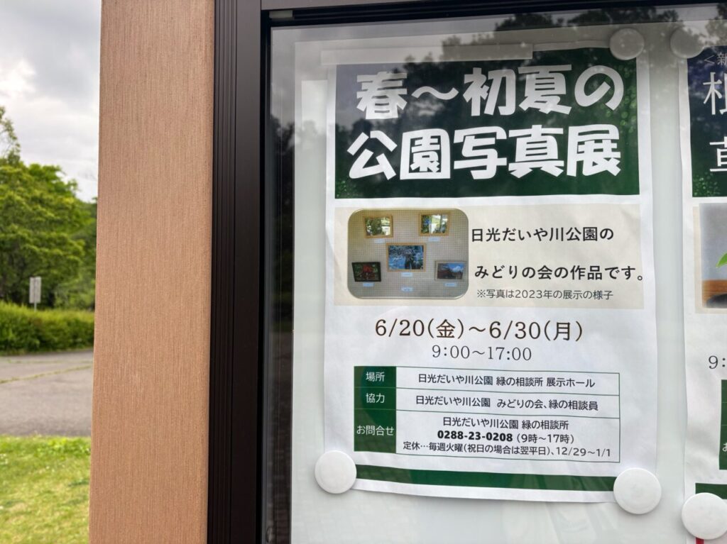 春～初夏の公園写真展