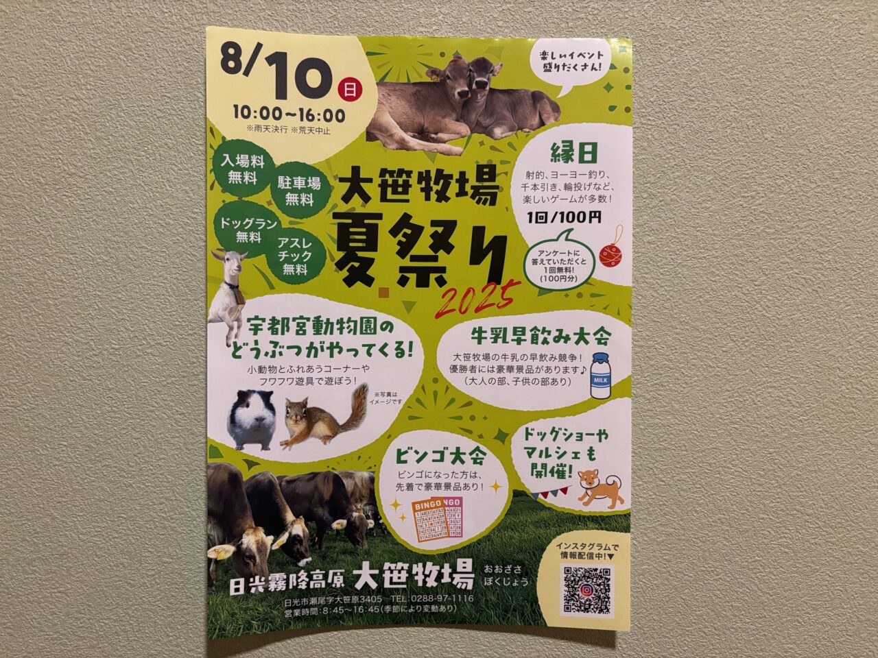 大笹牧場 　夏祭りチラシ