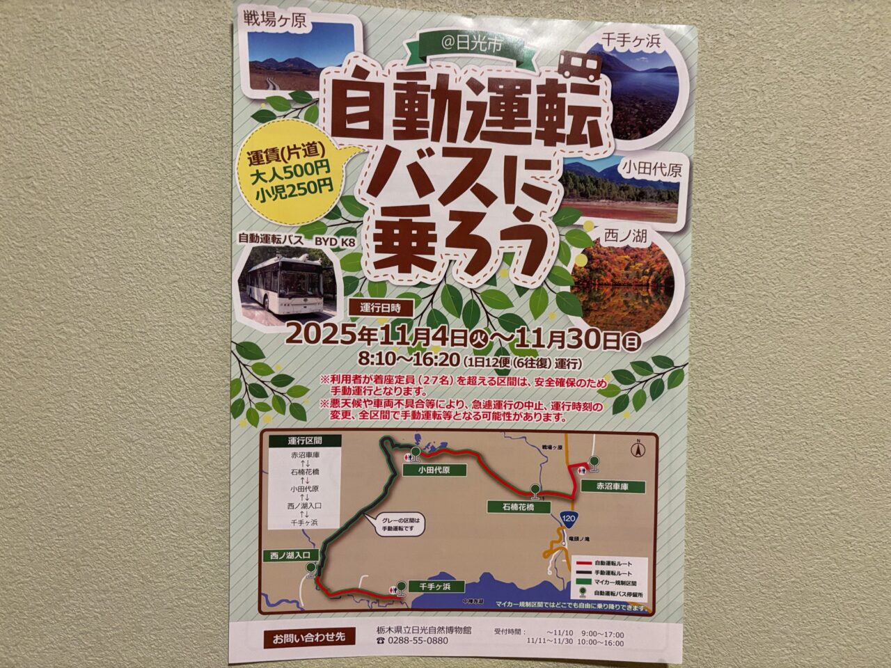 奥日光自動運転バスのチラシ