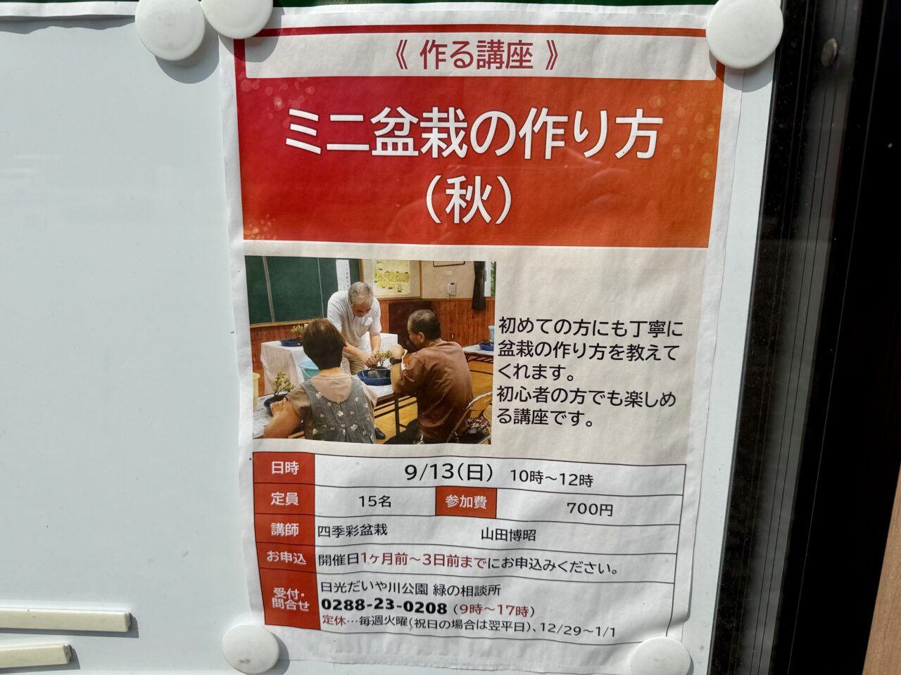 ミニ盆栽の作り方